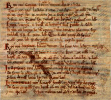 Domesday Book script