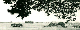 Dene Holes  marked by clumps of trees at Flockton near Midgley