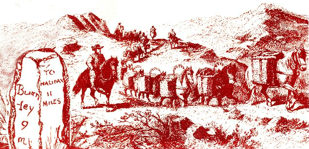 Packhorses near Midgley